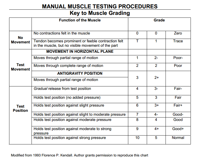 Manual Muscle Grading Chart Florence Kendall