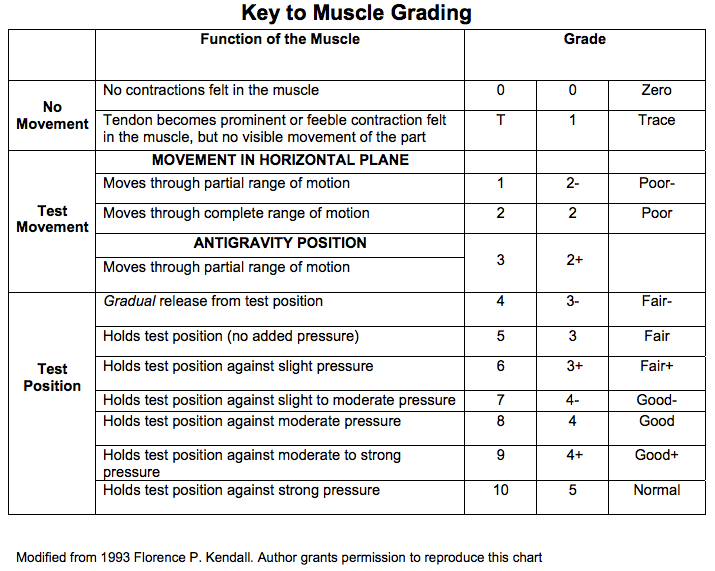 Manual Muscle Testing Chart from Florence P Kendall