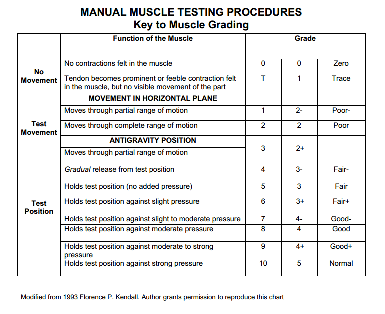 Manual Muscle Testing Chart