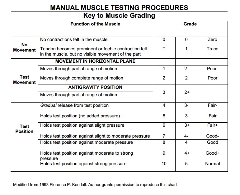 medical research council grading of muscle strength